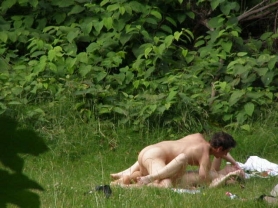 Splendor on the grass - #11