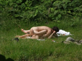 Splendor on the grass - #12