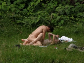 Splendor on the grass - #16